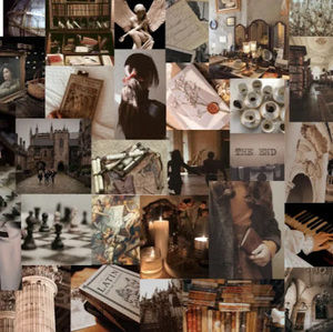 Meet your Posher, Chloe